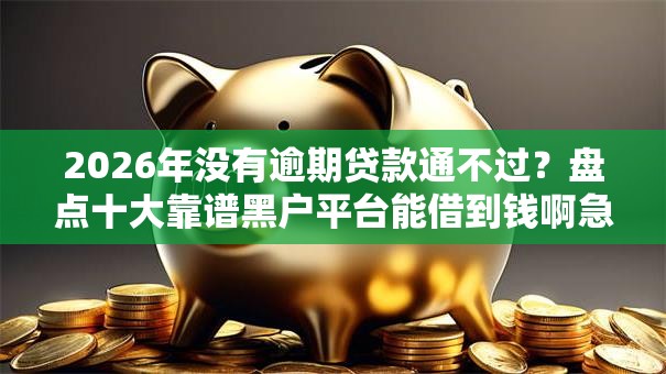 2026年没有逾期贷款通不过？盘点十大靠谱黑户平台能借到钱啊急用