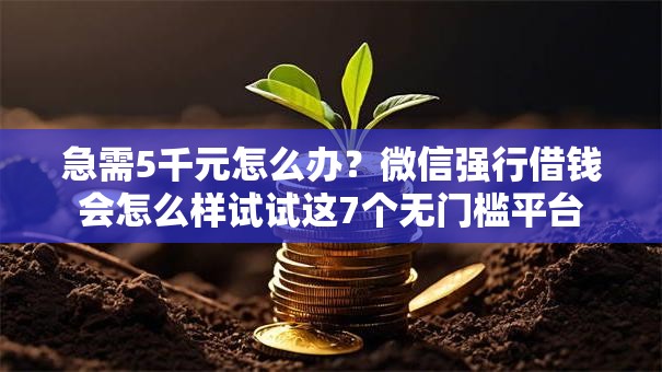 急需5千元怎么办？微信强行借钱会怎么样试试这7个无门槛平台