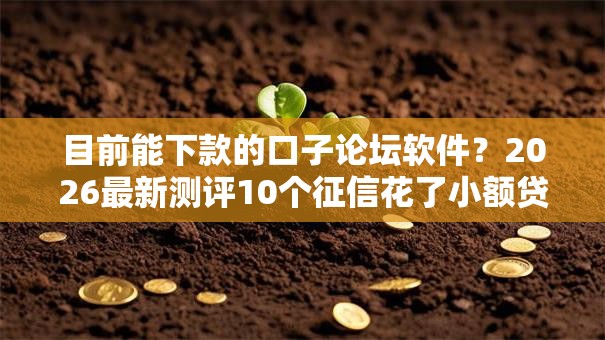 目前能下款的口子论坛软件？2026最新测评10个征信花了小额贷款正规平台