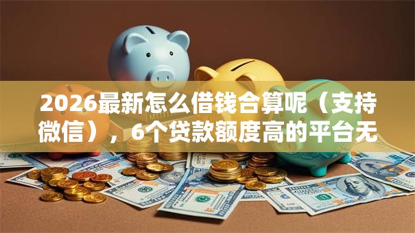2026最新怎么借钱合算呢（支持微信），6个贷款额度高的平台无私分享