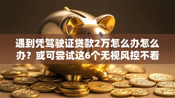 遇到凭驾驶证贷款2万怎么办怎么办？或可尝试这6个无视风控不看征信的网贷