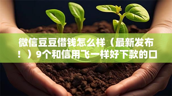 微信豆豆借钱怎么样（最新发布！）9个和信用飞一样好下款的口子