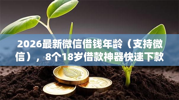 2026最新微信借钱年龄（支持微信），8个18岁借款神器快速下款app无私分享