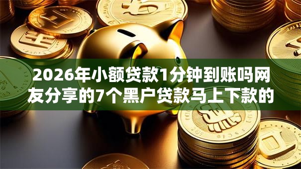 2026年小额贷款1分钟到账吗网友分享的7个黑户贷款马上下款的口子我觉得不错！