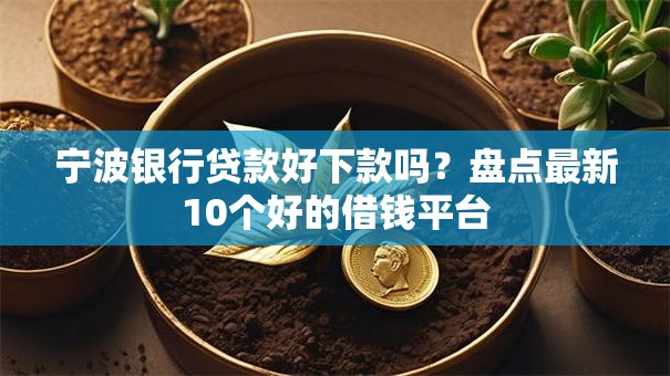 宁波银行贷款好下款吗?盘点最新10个好的借钱平台 宁波银行贷款好下款吗?盘点最新10个好的借钱平台