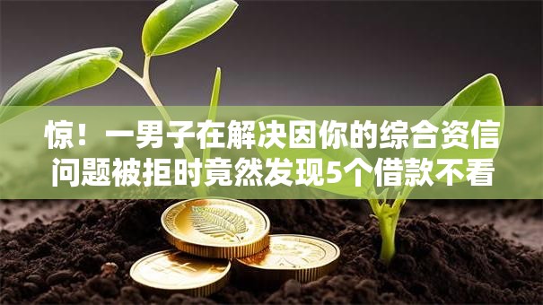惊！一男子在解决因你的综合资信问题被拒时竟然发现5个借款不看征信的平台，事后分享了出来