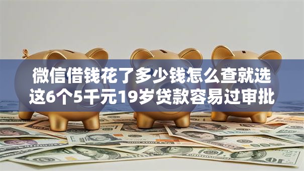 微信借钱花了多少钱怎么查就选这6个5千元19岁贷款容易过审批的平台 微信借钱花了多少钱怎么查就选这6个5千元19岁贷款容易过审批的平台