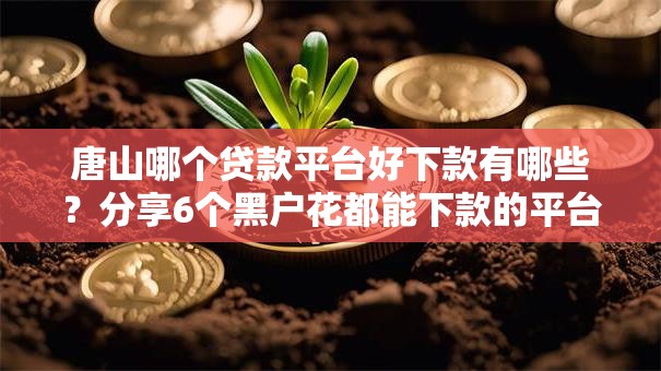 唐山哪个贷款平台好下款有哪些？分享6个黑户花都能下款的平台啊