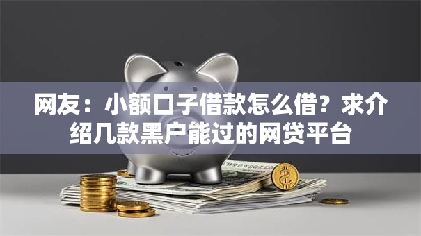 网友：小额口子借款怎么借？求介绍几款黑户能过的网贷平台