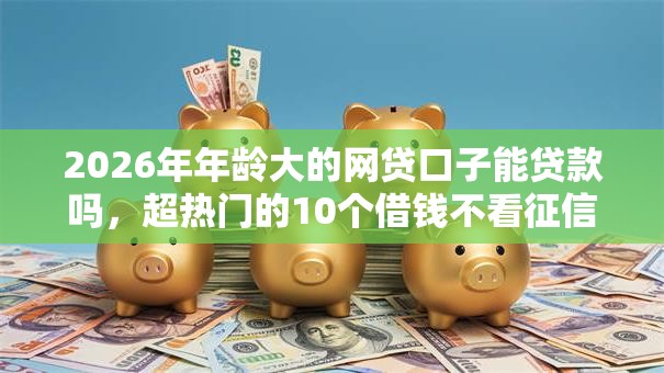2026年年龄大的网贷口子能贷款吗，超热门的10个借钱不看征信不查负债的平台推荐