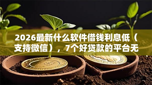 2026最新什么软件借钱利息低（支持微信），7个好贷款的平台无私分享