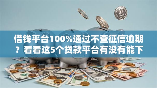 借钱平台100%通过不查征信逾期？看看这5个贷款平台有没有能下款的
