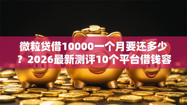 微粒贷借10000一个月要还多少？2026最新测评10个平台借钱容易通过不看负债