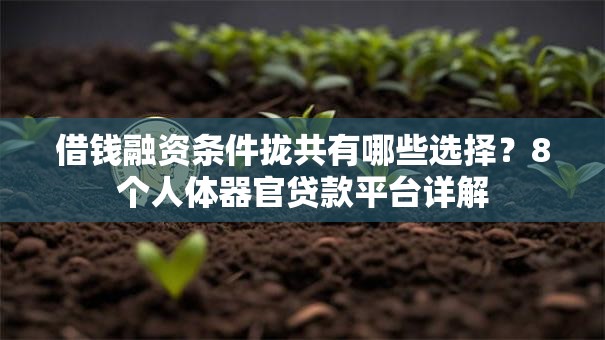 借钱融资条件拢共有哪些选择？8个人体器官贷款平台详解