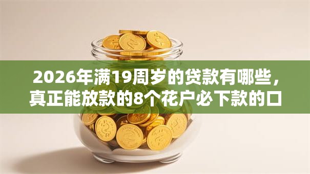 2026年满19周岁的贷款有哪些，真正能放款的8个花户必下款的口子推荐