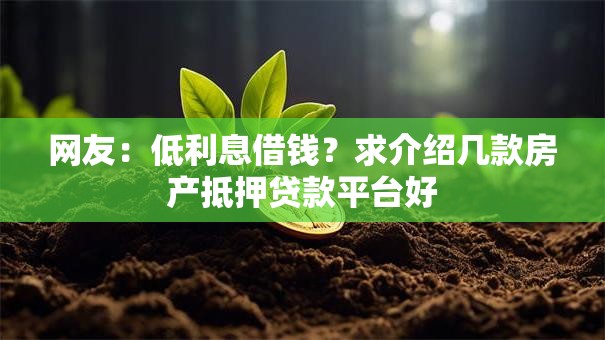 网友：低利息借钱？求介绍几款房产抵押贷款平台好