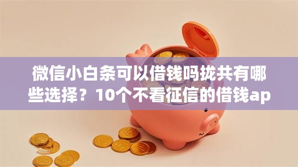 微信小白条可以借钱吗拢共有哪些选择?10个不看征信的借钱app详解 微信小白条可以借钱吗拢共有哪些选择?10个不看征信的借钱app详解