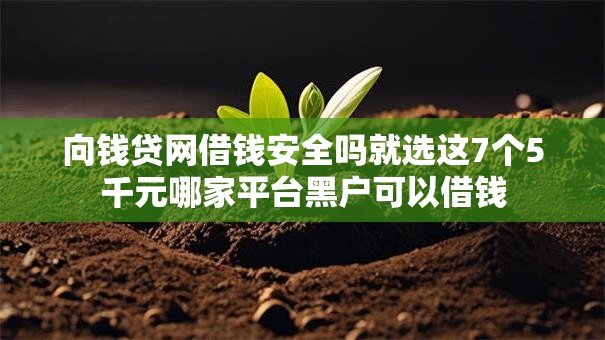 向钱贷网借钱安全吗就选这7个5千元哪家平台黑户可以借钱