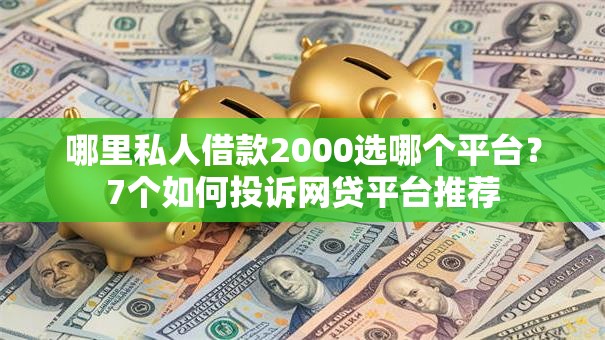 哪里私人借款2000选哪个平台？7个如何投诉网贷平台推荐