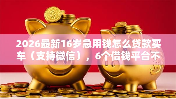 2026最新16岁急用钱怎么贷款买车（支持微信），6个借钱平台不看综合评估的软件无私分享