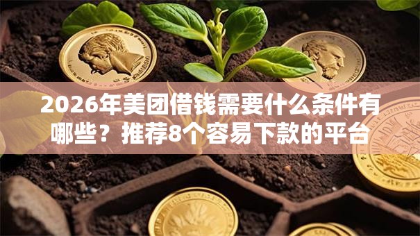 2026年美团借钱需要什么条件有哪些?推荐8个容易下款的平台 2026年美团借钱需要什么条件有哪些?推荐8个容易下款的平台