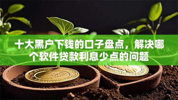 十大黑户下钱的口子盘点，解决哪个软件贷款利息少点的问题
