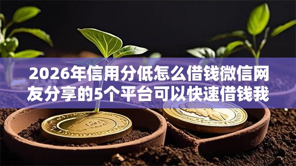 2026年信用分低怎么借钱微信网友分享的5个平台可以快速借钱我觉得不错！