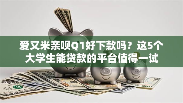 爱又米亲呗Q1好下款吗？这5个大学生能贷款的平台值得一试