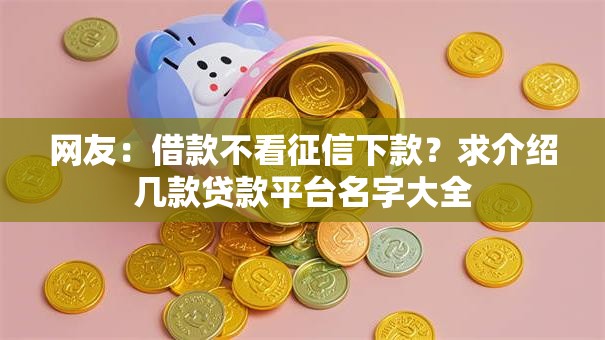 网友：借款不看征信下款？求介绍几款贷款平台名字大全