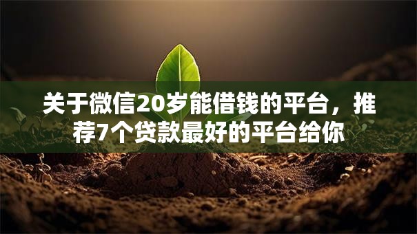 关于微信20岁能借钱的平台，推荐7个贷款最好的平台给你