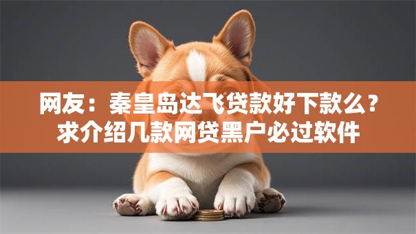 网友:秦皇岛达飞贷款好下款么?求介绍几款网贷黑户必过软件 网友:秦皇岛达飞贷款好下款么?求介绍几款网贷黑户必过软件