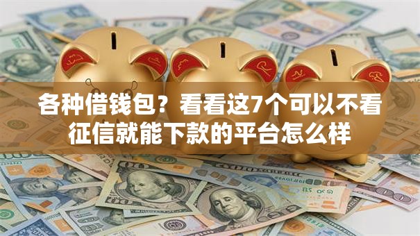 各种借钱包？看看这7个可以不看征信就能下款的平台怎么样