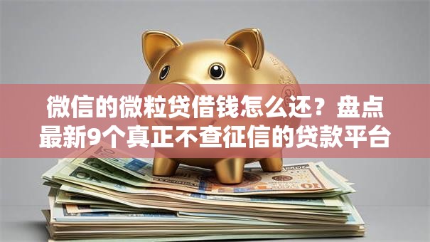 微信的微粒贷借钱怎么还？盘点最新9个真正不查征信的贷款平台