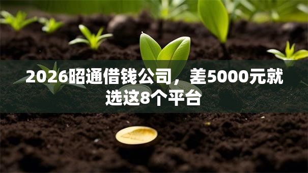 2026昭通借钱公司，差5000元就选这8个平台