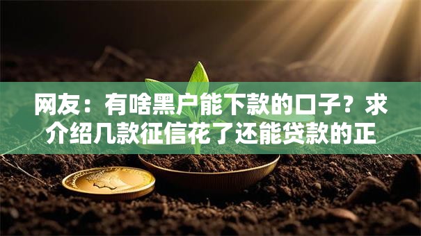 网友：有啥黑户能下款的口子？求介绍几款征信花了还能贷款的正规平台