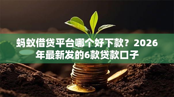 蚂蚁借贷平台哪个好下款？2026年最新发的6款贷款口子