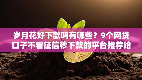 岁月花好下款吗有哪些？9个网贷口子不看征信秒下款的平台推荐给你