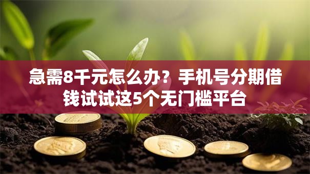 急需8千元怎么办?手机号分期借钱试试这5个无门槛平台 急需8千元怎么办?手机号分期借钱试试这5个无门槛平台