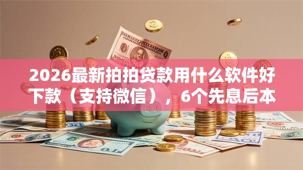 2026最新拍拍贷款用什么软件好下款（支持微信），6个先息后本贷款平台无私分享