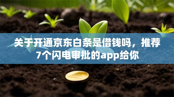 关于开通京东白条是借钱吗，推荐7个闪电审批的app给你