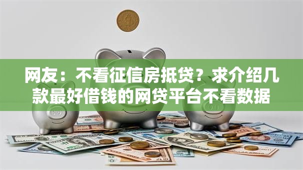 网友：不看征信房抵贷？求介绍几款最好借钱的网贷平台不看数据