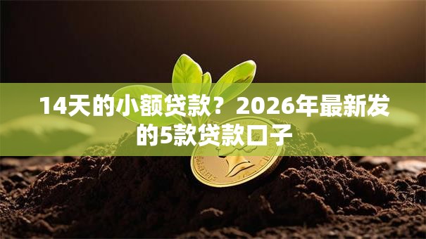 14天的小额贷款？2026年最新发的5款贷款口子