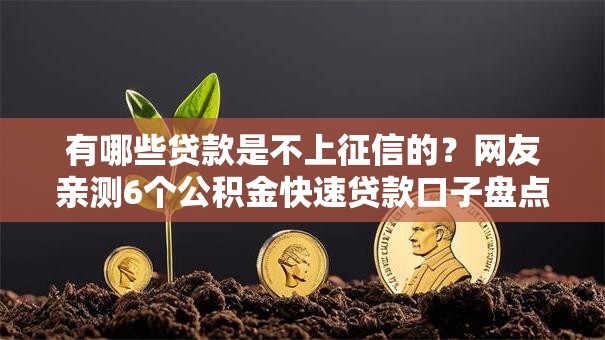 有哪些贷款是不上征信的？网友亲测6个公积金快速贷款口子盘点