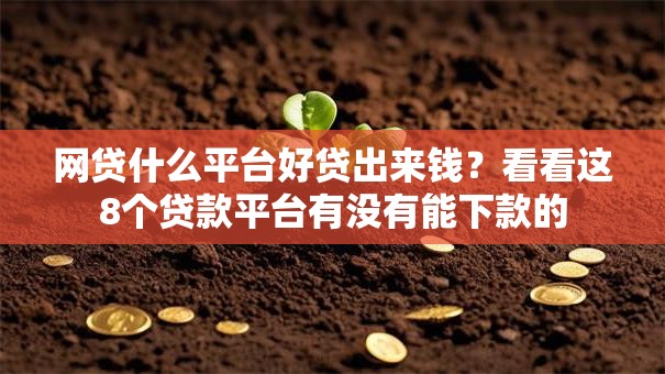 网贷什么平台好贷出来钱？看看这8个贷款平台有没有能下款的