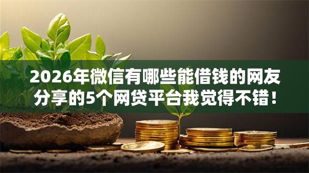 2026年微信有哪些能借钱的网友分享的5个网贷平台我觉得不错！