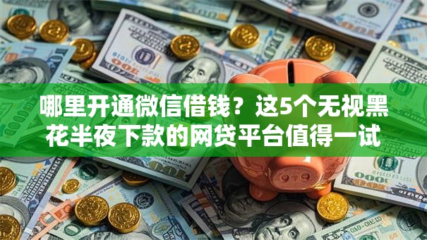 哪里开通微信借钱？这5个无视黑花半夜下款的网贷平台值得一试