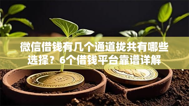 微信借钱有几个通道拢共有哪些选择？6个借钱平台靠谱详解
