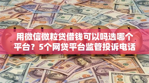 用微信微粒贷借钱可以吗选哪个平台？5个网贷平台监管投诉电话推荐