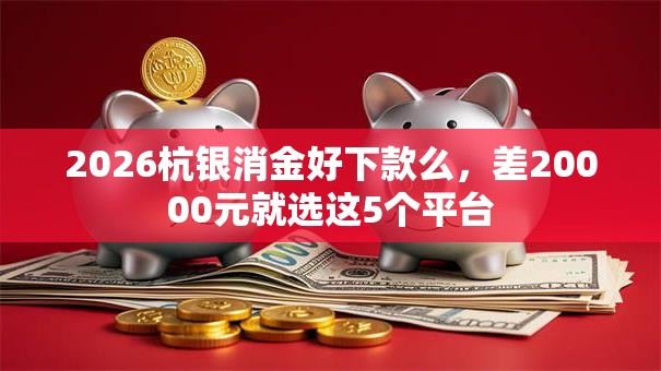 2026杭银消金好下款么，差20000元就选这5个平台