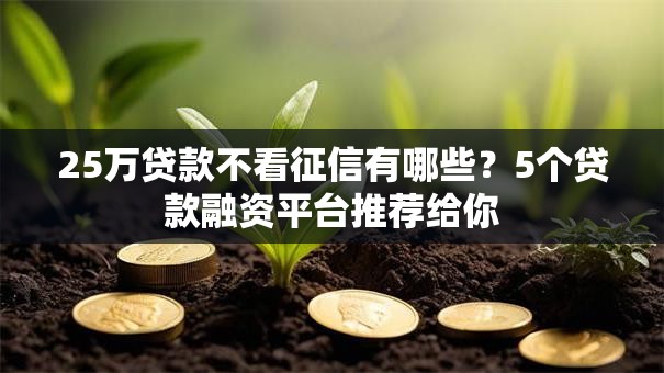25万贷款不看征信有哪些?5个贷款融资平台推荐给你 25万贷款不看征信有哪些?5个贷款融资平台推荐给你